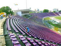 Stadionul Dan Păltinișanu