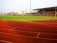 Meadowbank Stadium