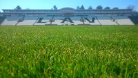 Stadion FK Partizan