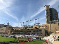 Al-Nahyan Stadium