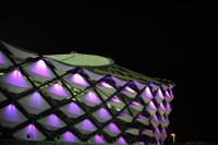 Hazza Bin Zayed Stadium