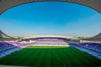 Hazza Bin Zayed Stadium