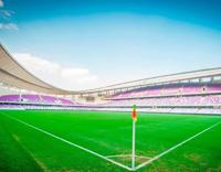 Hazza Bin Zayed Stadium