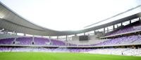 Hazza Bin Zayed Stadium