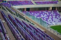 Hazza Bin Zayed Stadium