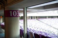 Hazza Bin Zayed Stadium