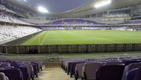 Hazza Bin Zayed Stadium