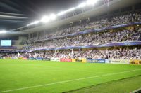 Hazza Bin Zayed Stadium