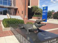 Ben Hill Griffin Stadium (The Swamp)