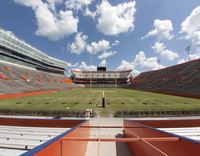 Ben Hill Griffin Stadium (The Swamp)