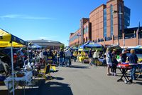 Michigan Stadium (The Big House)