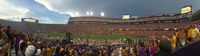 Tiger Stadium (Death Valley)