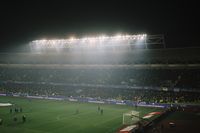 Estadio Ester Roa