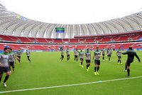 Estadio Beira-Rio